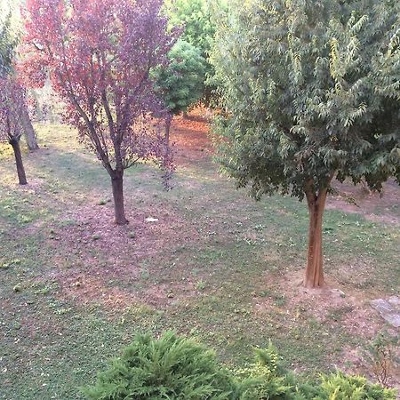 Bed & Breakfast Da Eliana Молинелла Экстерьер фото